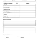 Annual Professional Performance Review Evaluation Form New Employee