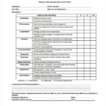 FREE 10 Performance Evaluation Forms In PDF MS Word Excel