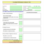 FREE 12 Sample Performance Evaluation Forms In PDF Word Excel