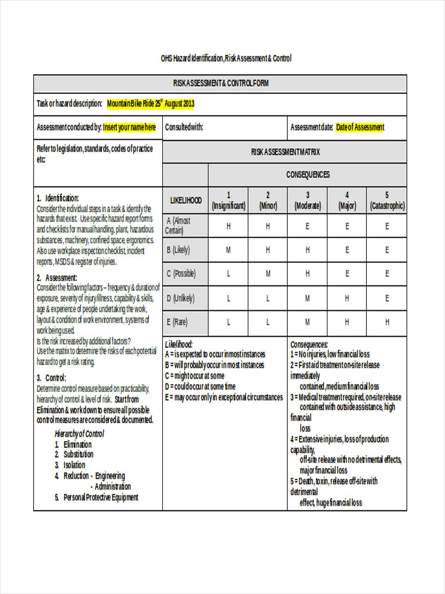 FREE 4 Control Risk Assessment Forms In PDF MS Word