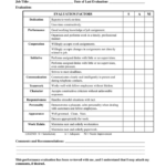 GENERAL PERFORMANCE EVALUATION FORM In Word And Pdf Formats