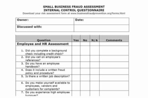 Internal Auditor Performance Evaluation Form - EvaluationForm.net