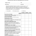 PROBATIONARY EMPLOYEE PERFORMANCE EVALUATION In Word And Pdf Formats